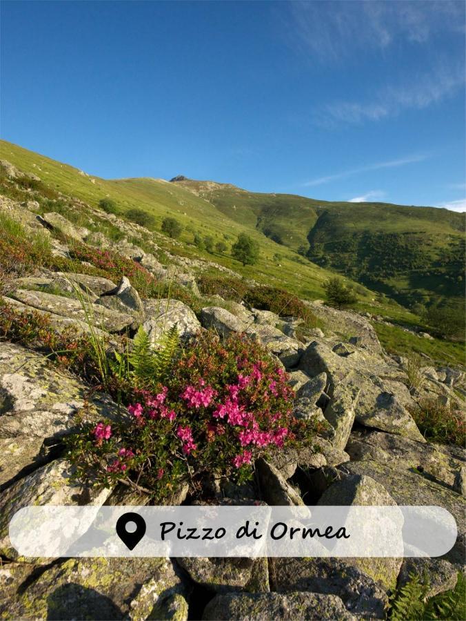 Ormea Albergo Ristorante Payarin מראה חיצוני תמונה